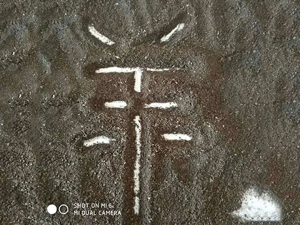 果蔬有機(jī)菌肥 