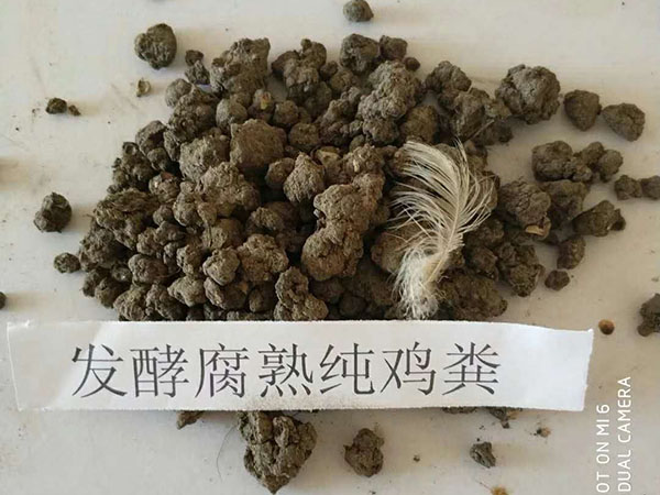 果蔬有機(jī)菌肥 